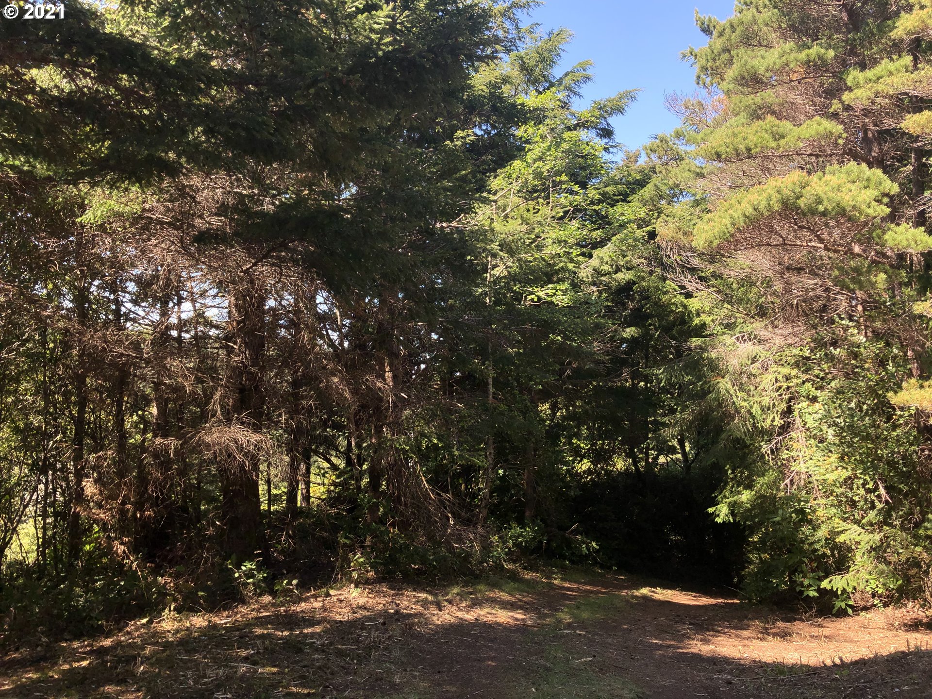 Old Mill Rd Port Port Orford, OR 97465 - Photo 13 of 16 Gallery Image 13