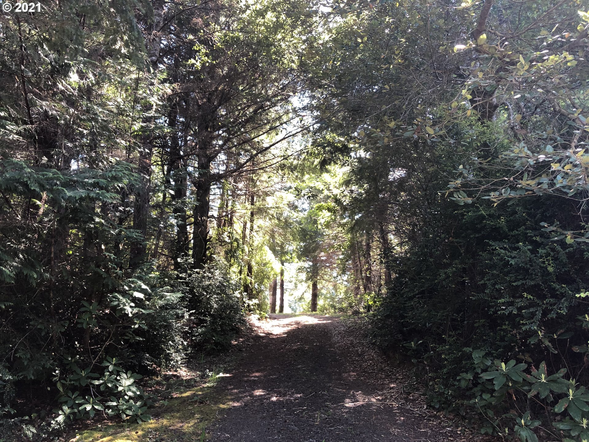 Old Mill Rd Port Port Orford, OR 97465 - Photo 14 of 16 Gallery Image 14