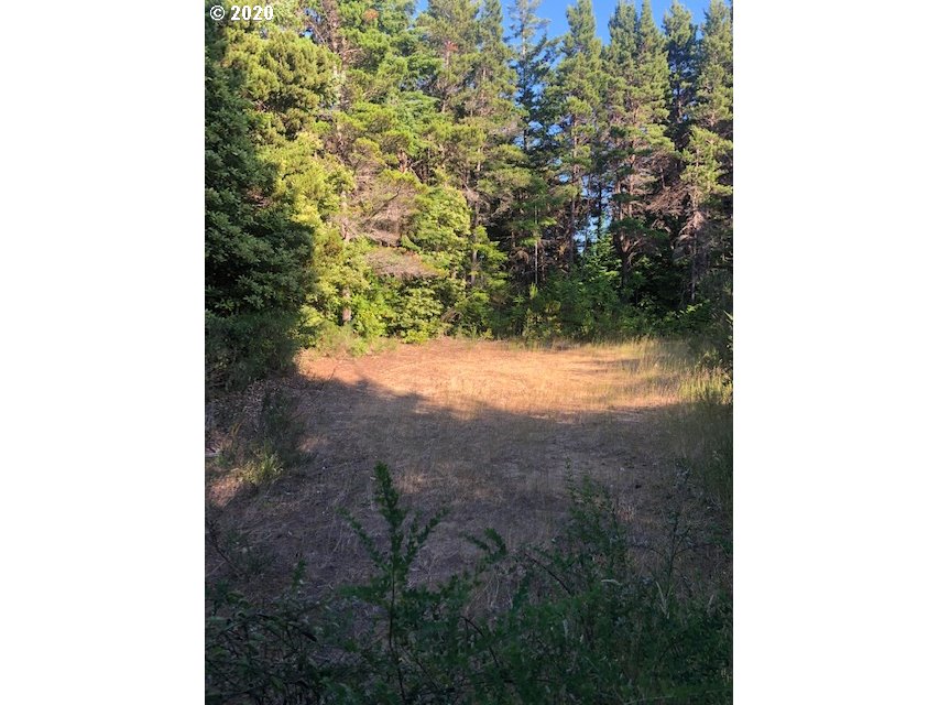 Old Mill Rd Port Port Orford, OR 97465 - Photo 3 of 16 Gallery Image 3