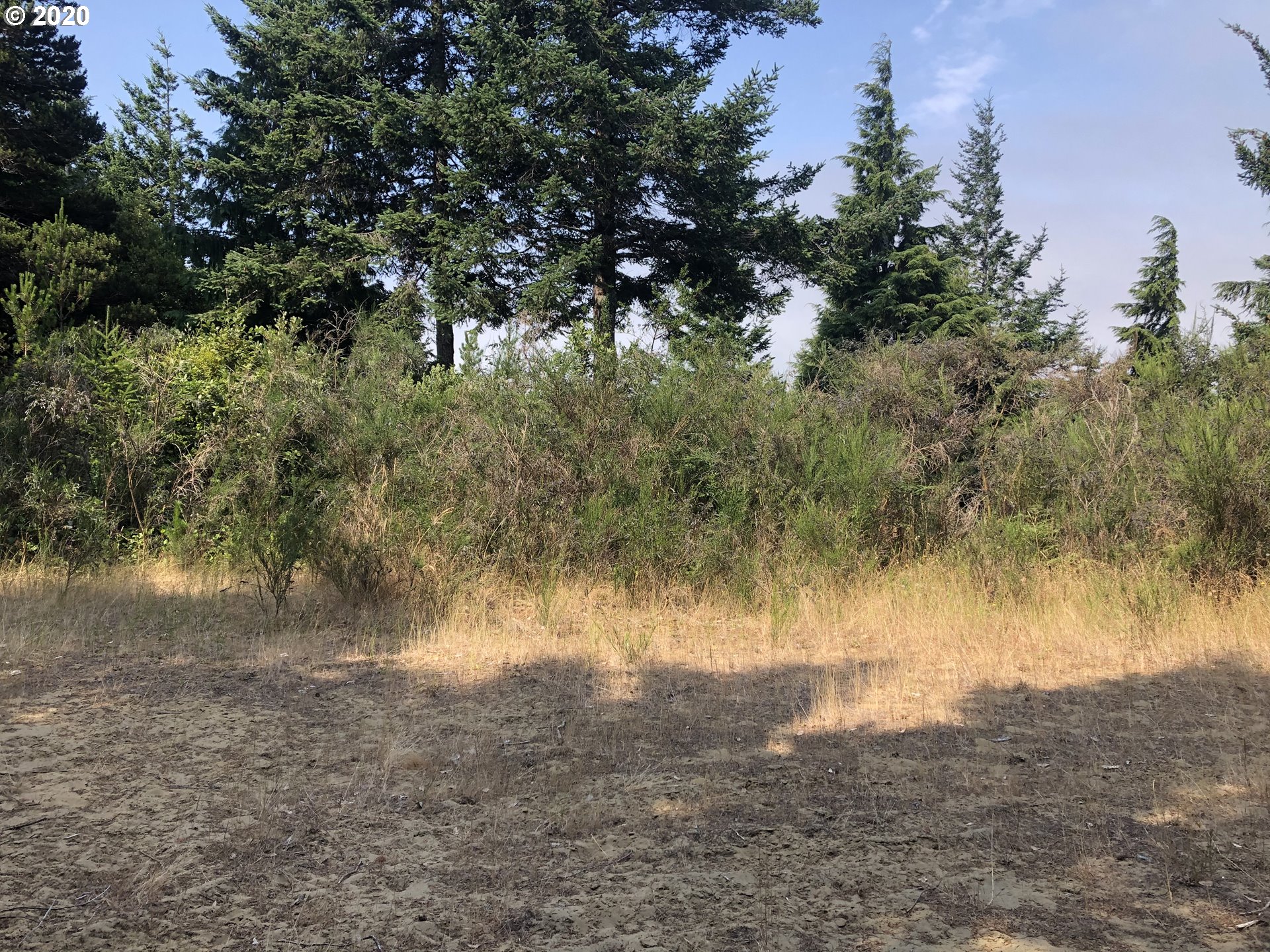 Old Mill Rd Port Port Orford, OR 97465 - Photo 5 of 16 Gallery Image 5