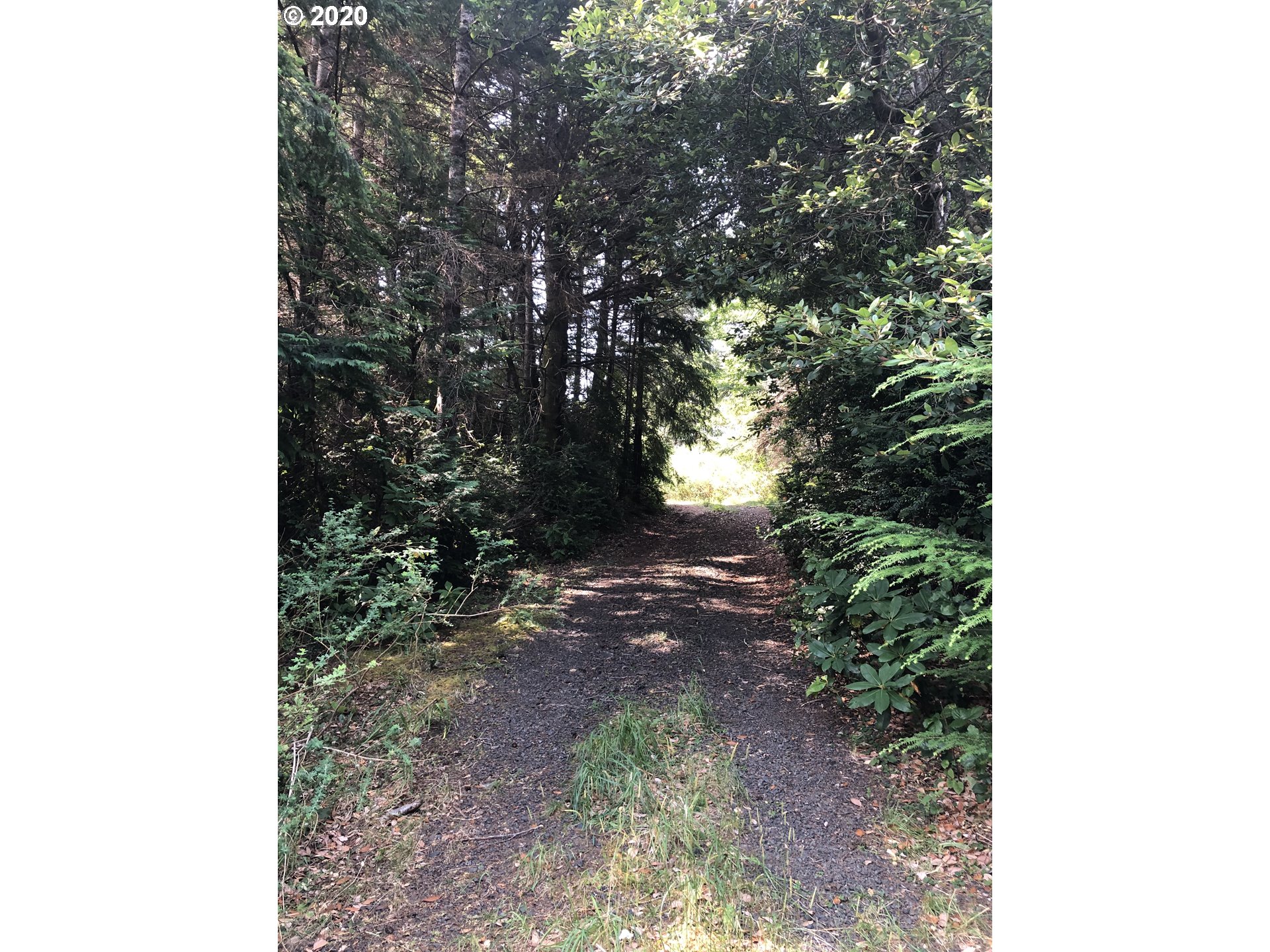 Old Mill Rd Port Port Orford, OR 97465 - Photo 6 of 16 Gallery Image 6