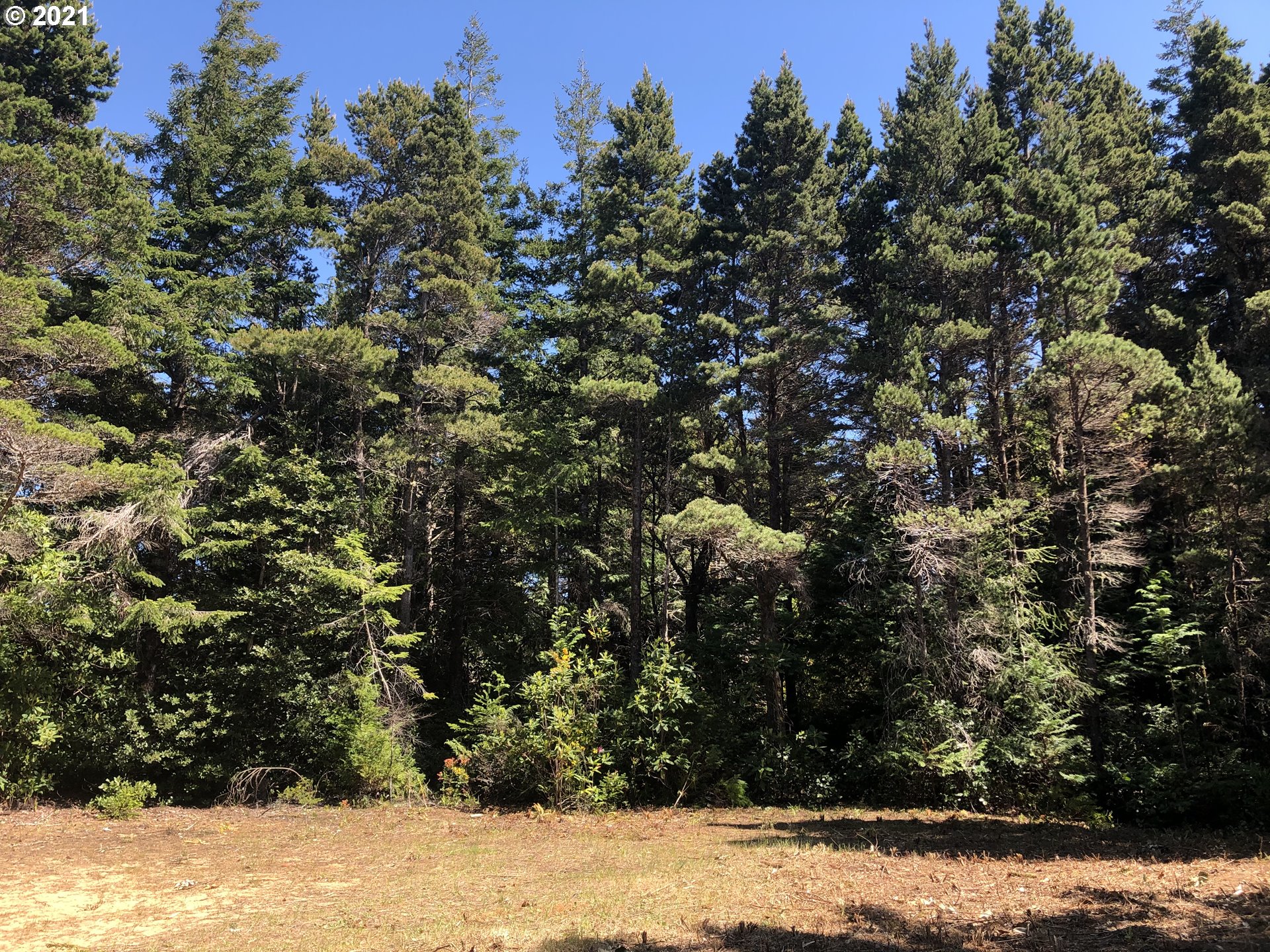 Old Mill Rd Port Port Orford, OR 97465 - Photo 10 of 16 Gallery Image 10