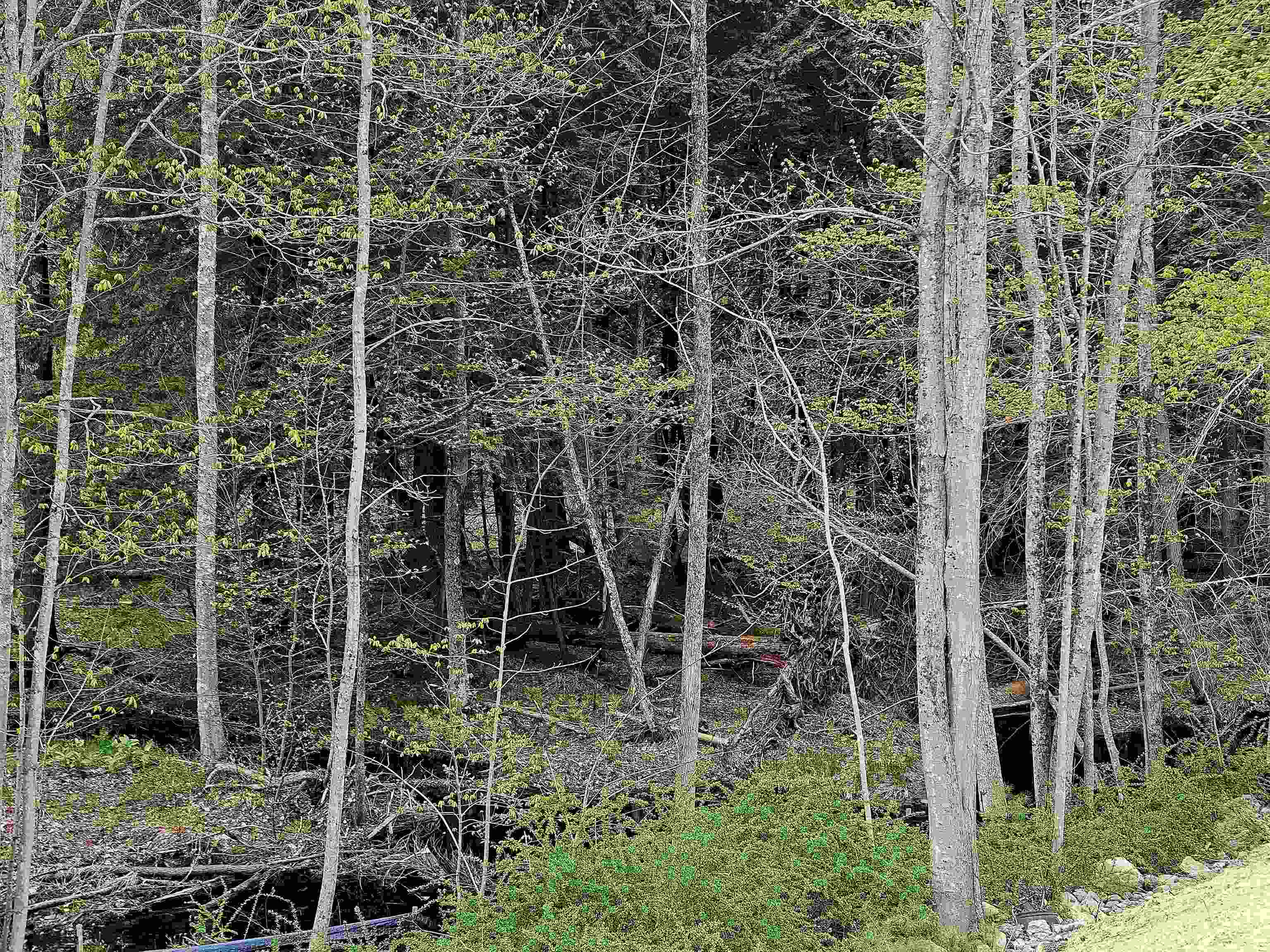 86 Spring Street Farmington, NH 03835 - Photo 5 of 5