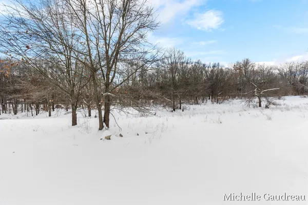 $599,900 | 3591 Leaf Lane, Freeport, MI 49325