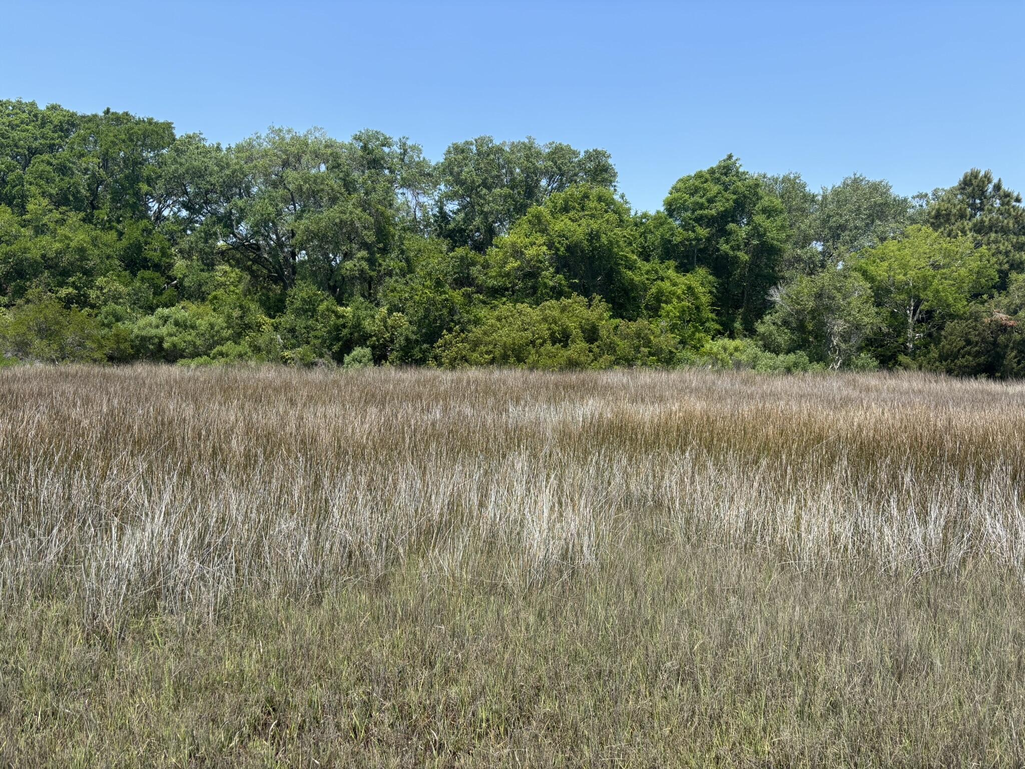 2035 Sol Legare Road Charleston, SC 29412 - Photo 7 of 26 IMG_2293