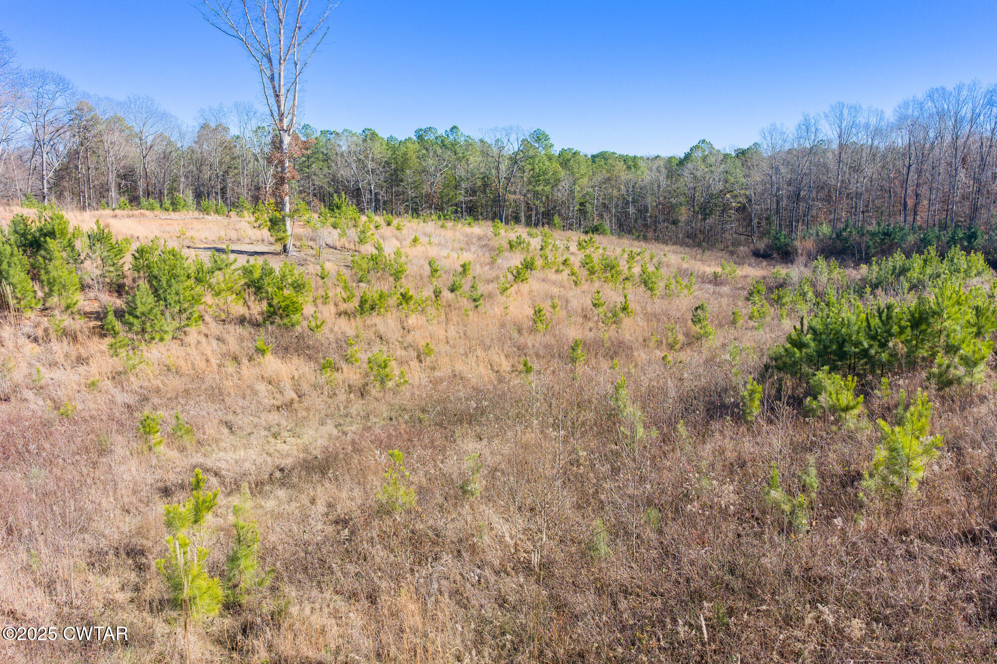 709 Broadway Road North Lexington, TN 38351 - Photo 8 of 11 DJI_20251219125523_0164_D