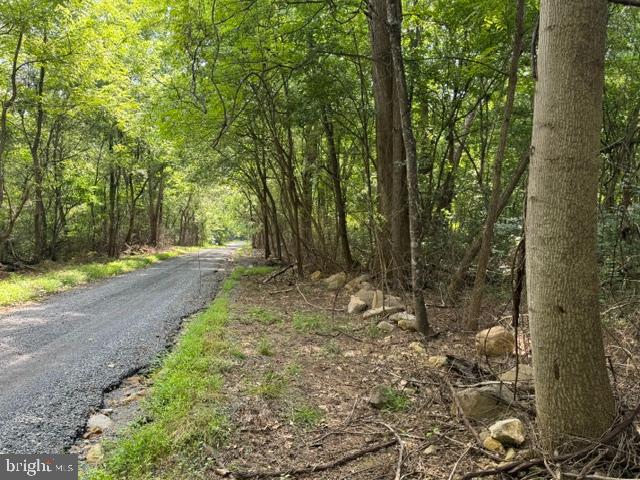Smith Run Road Bentonville, VA 22610 - Photo 5 of 19 Gallery Image 5