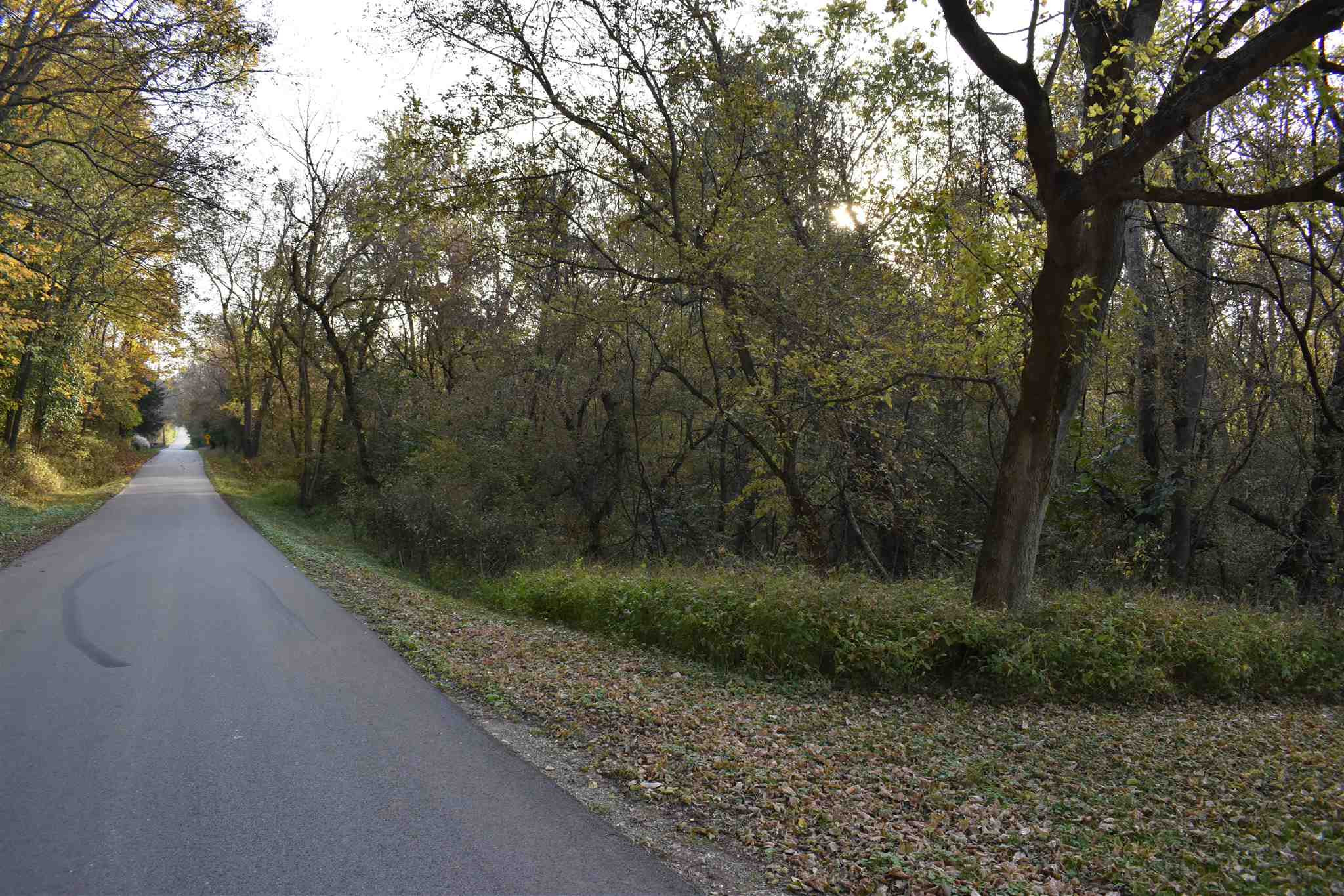 Rabbit Hash Rd Union Burlington, KY 41005 - Photo 15 of 24 Gallery Image 15
