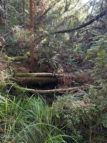 a view of an outdoor space