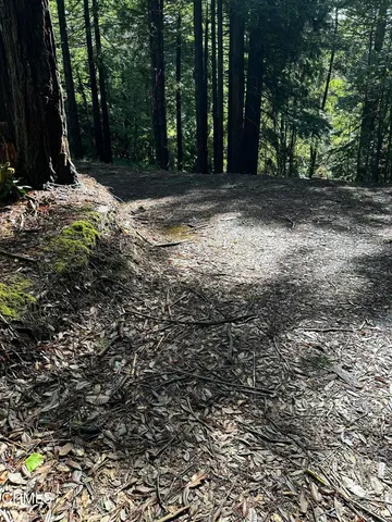 a view of backyard with green space