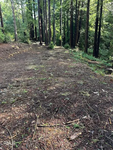 a view of outdoor space with trees