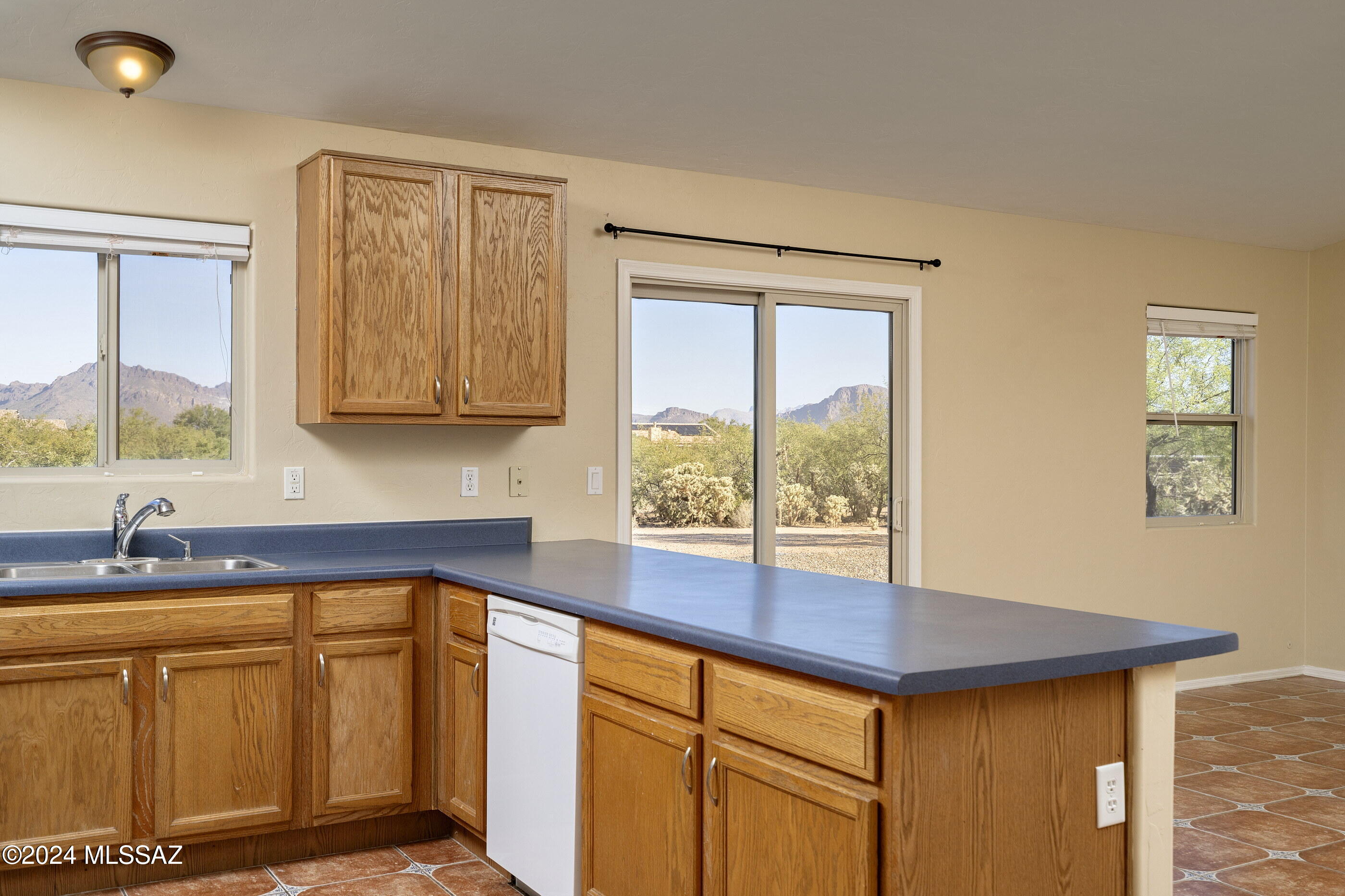 7244 West Timberleaf Drive Tucson, AZ 85757 - Photo 8 of 21