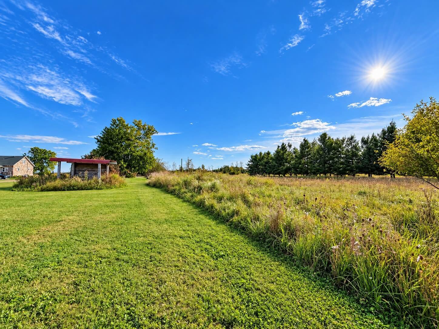 8184 Schultz Road Hubbard Lake, MI 49747 - Photo 38 of 39 Gallery Image 38