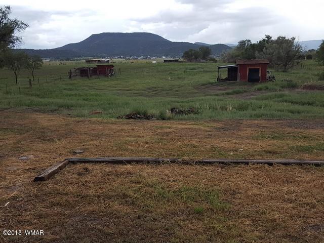 1128 East Maricopa Drive Springerville, AZ 85938 - Photo 8 of 28 a view of a yard with a barn