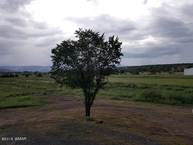 1128 East Maricopa Drive Springerville, AZ 85938 - Photo 10 of 28 a view of a big yard with lots of green space
