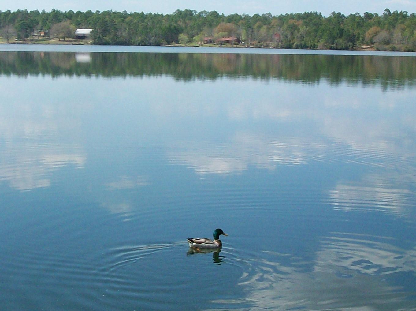 2344 Spring Lake Road DeFuniak Springs, FL 32433 - Photo 4 of 25 Zlata #3