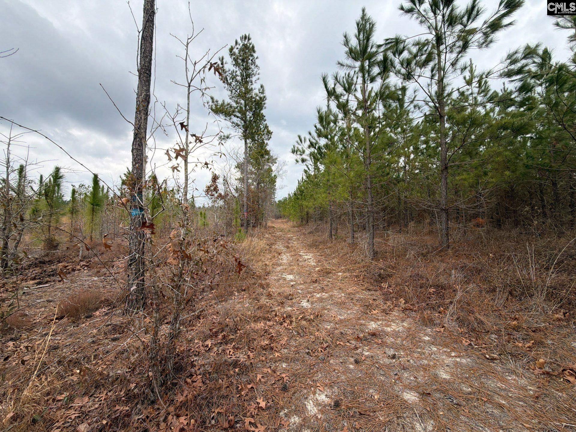 3 Jc Barefoot Road, Unit BFF II 3 Patrick, SC 29584 - Photo 22 of 23