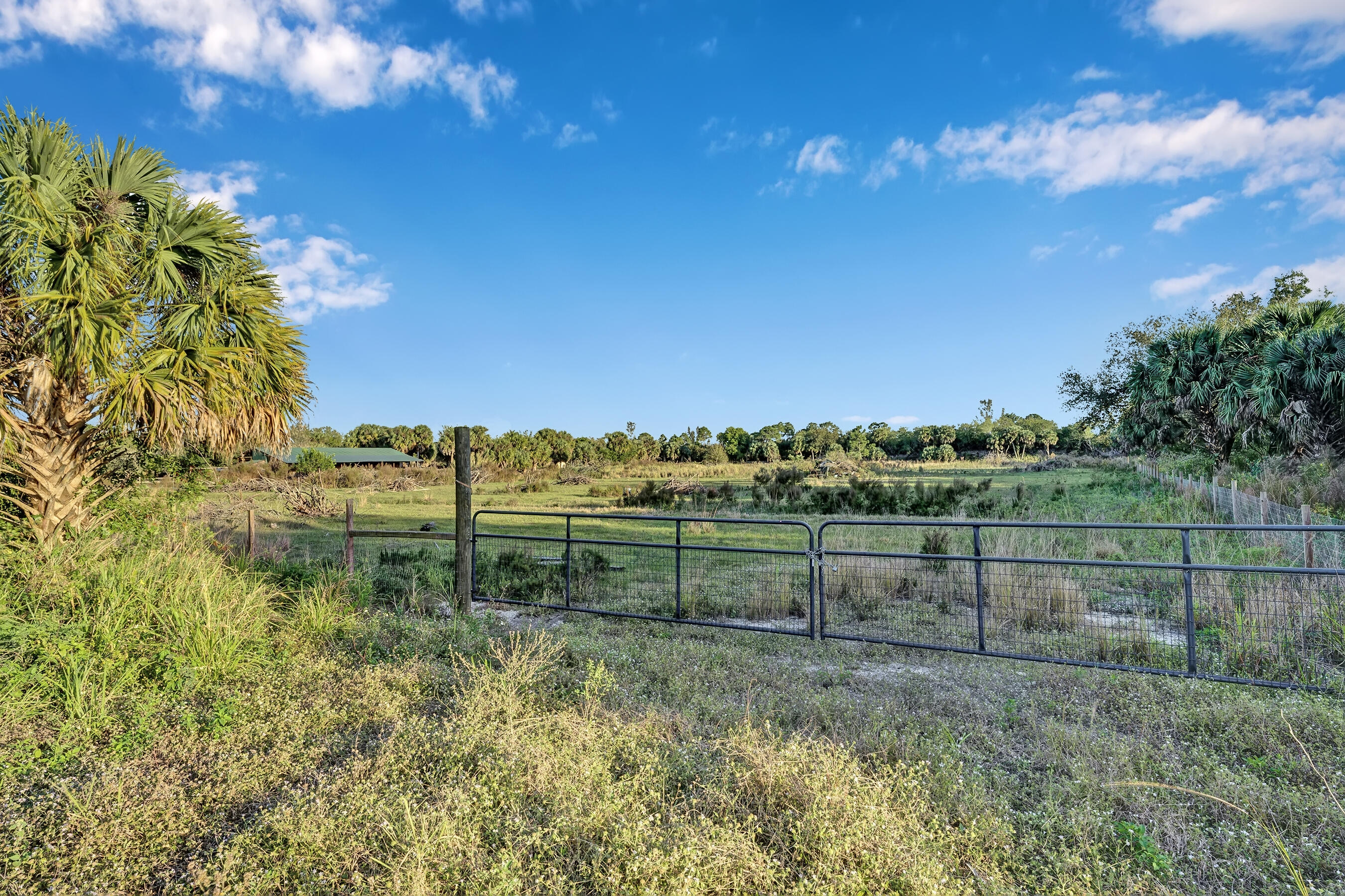 4100 Windmill Road Loxahatchee, FL 33470 - Photo 11 of 15 a view of a yard