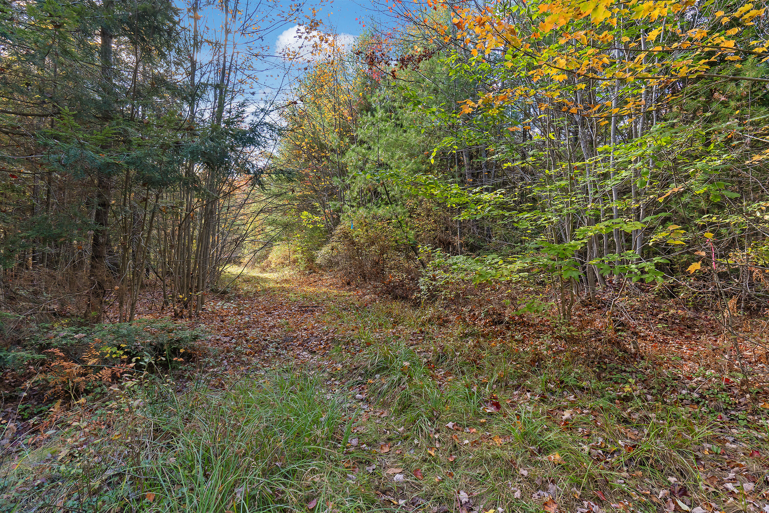 Tbd Long Swamp Road, Unit LOT 4 Berwick, ME 03901 - Photo 14 of 18 TBD Long Swamp, Lot 4, Berwick