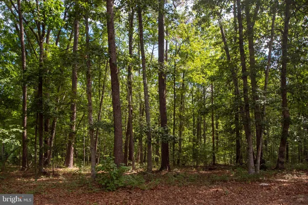 $1,280,000 | 11204 Honor Bridge Farm Place, Spotsylvania, VA 22551