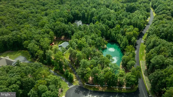 a view of a park with large trees