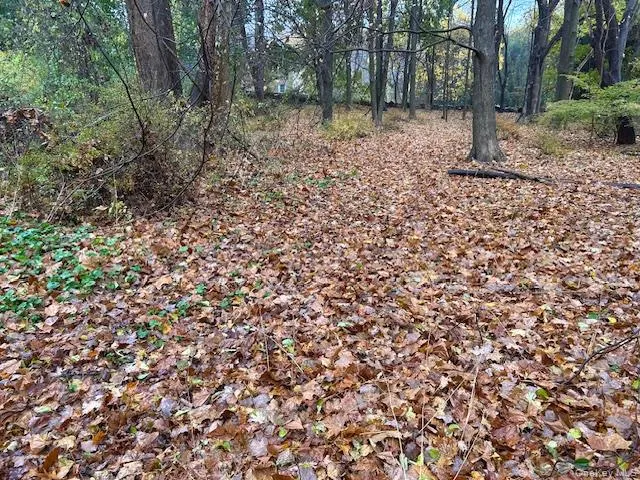 a view of a covered with trees