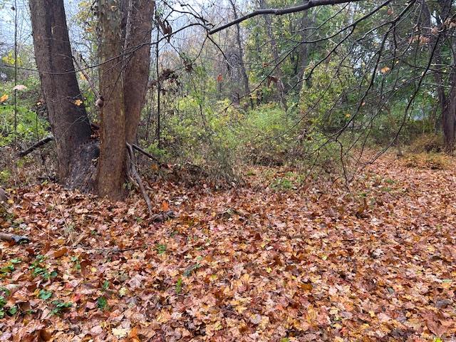 252 Milltown Road Brewster, NY 10509 - Photo 2 of 7 View of wooded area