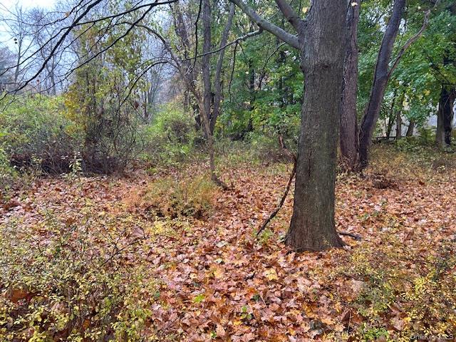 252 Milltown Road Brewster, NY 10509 - Photo 4 of 7 View of wooded area