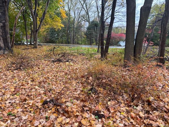 252 Milltown Road Brewster, NY 10509 - Photo 5 of 7 View of yard
