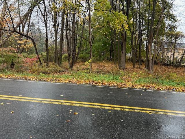 252 Milltown Road Brewster, NY 10509 - Photo 7 of 7 View of asphalt street
