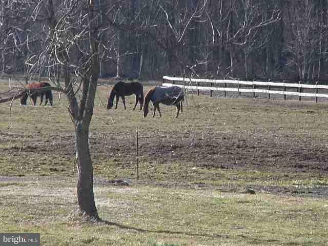 1101 Pine Road Carlisle, PA 17015 - Photo 4 of 4 Gallery Image 4
