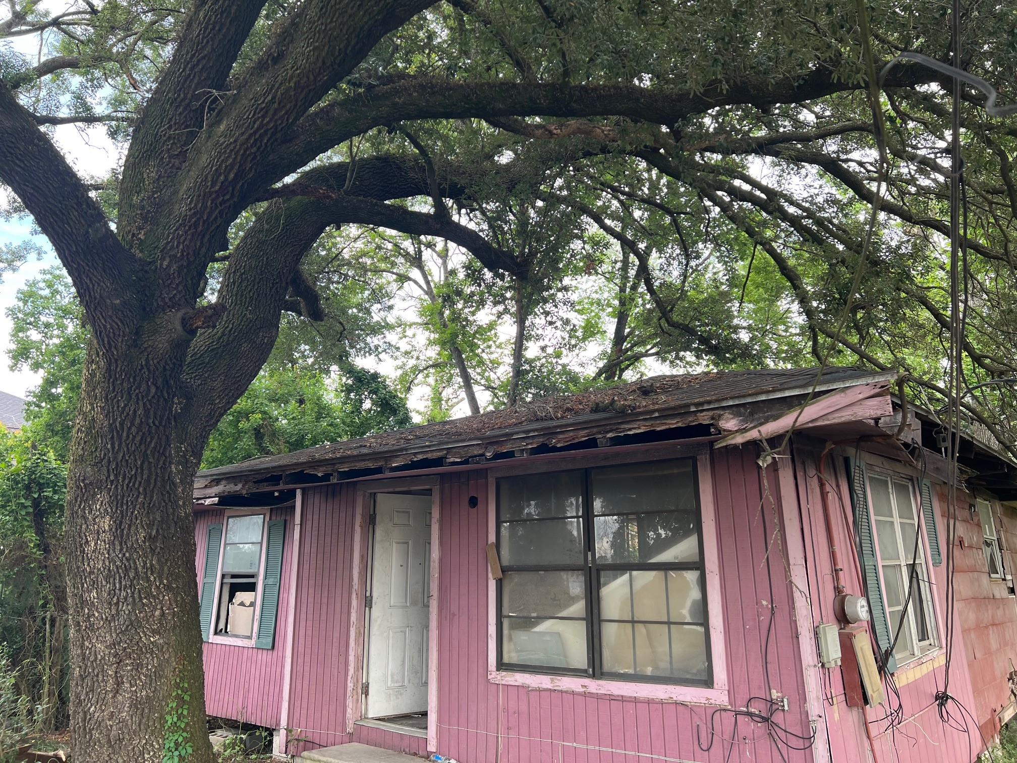 4814 Firnat Street Houston, TX 77016 - Photo 2 of 9 a view of a house with a tree