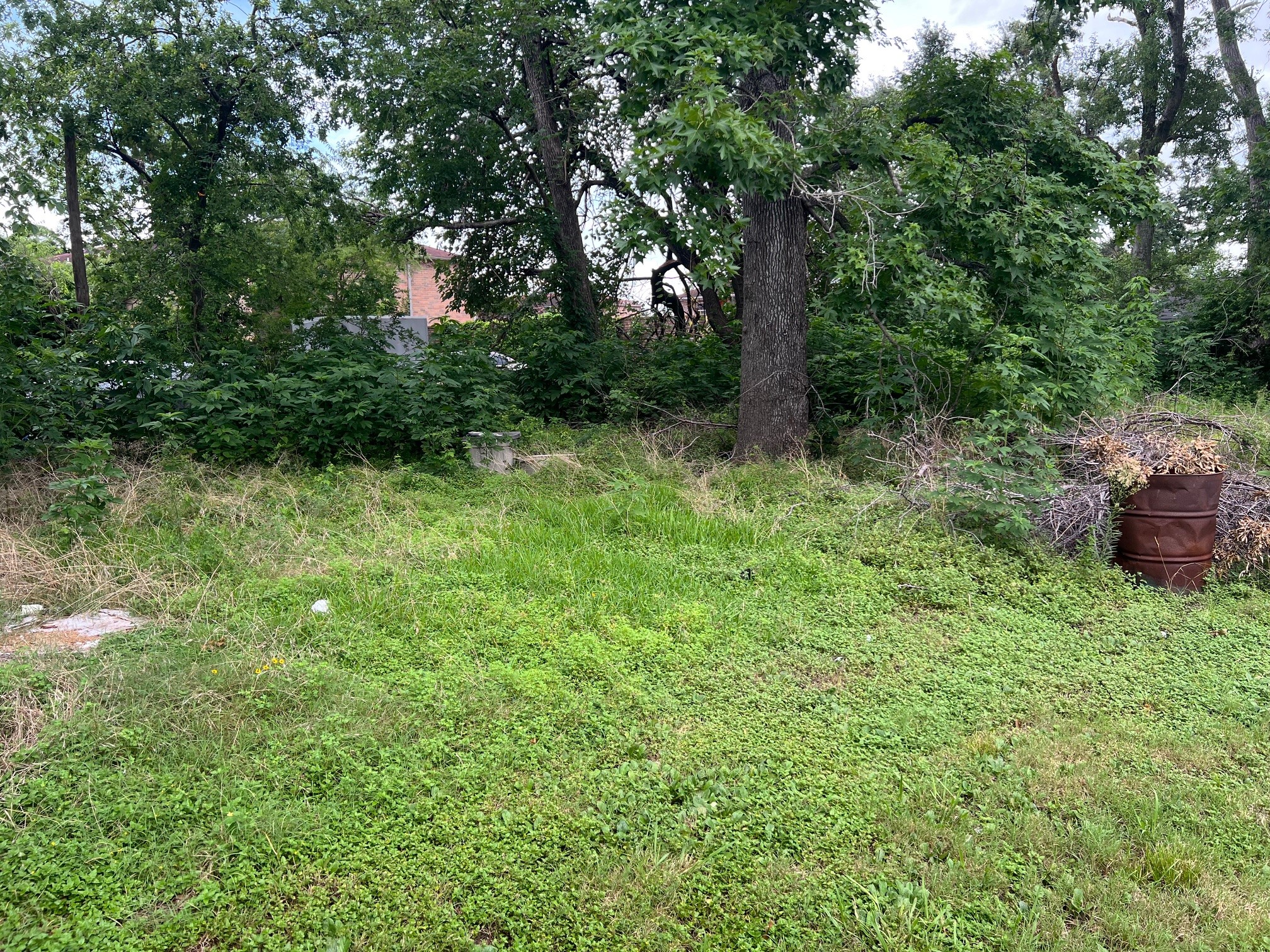 4814 Firnat Street Houston, TX 77016 - Photo 8 of 9 a view of a lush green forest