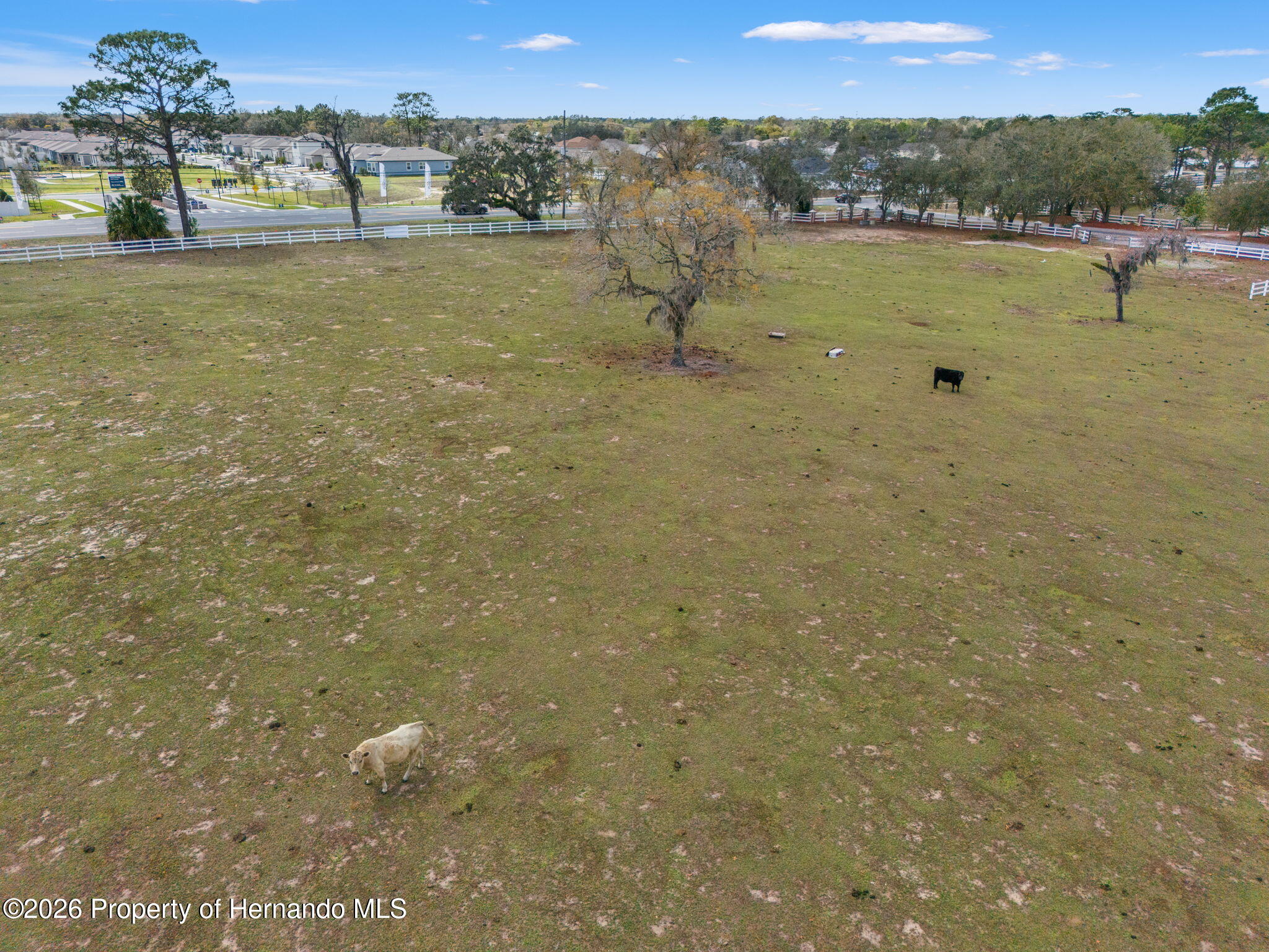 0 Gloucester Road Spring Hill, FL 34604 - Photo 12 of 47