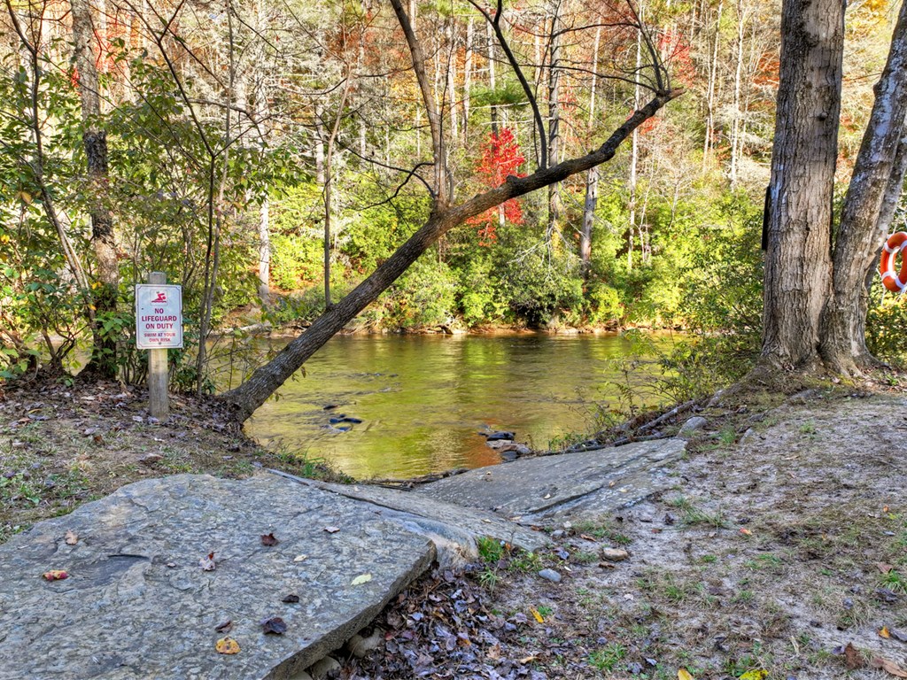 505 River Ridge Road Blue Ridge, GA 30513 - Photo 12 of 66