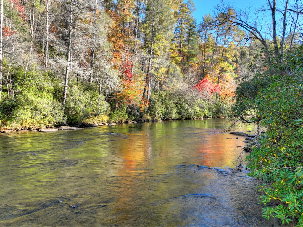 505 River Ridge Road Blue Ridge, GA 30513 - Photo 13 of 66