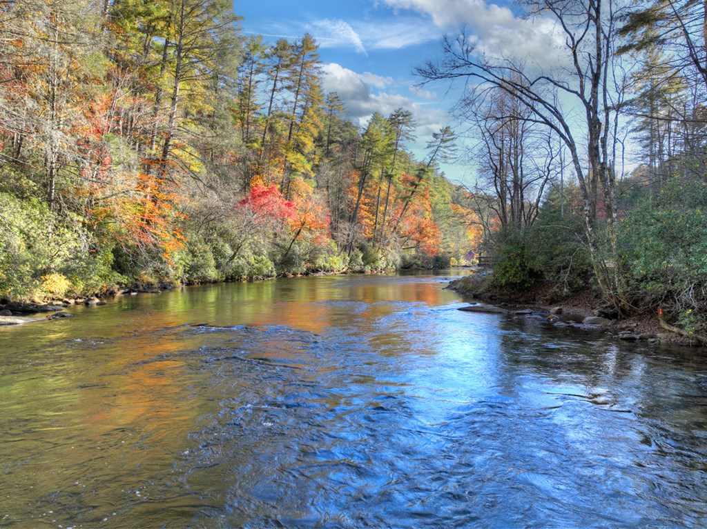 505 River Ridge Road Blue Ridge, GA 30513 - Photo 14 of 66