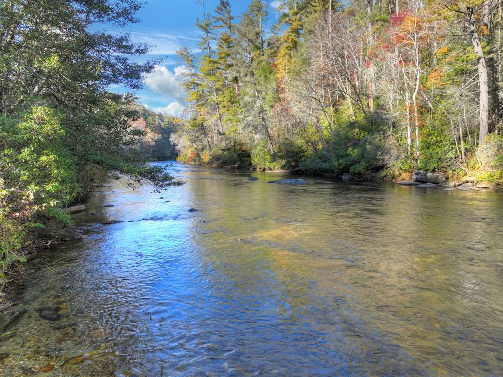 505 River Ridge Road Blue Ridge, GA 30513 - Photo 3 of 66