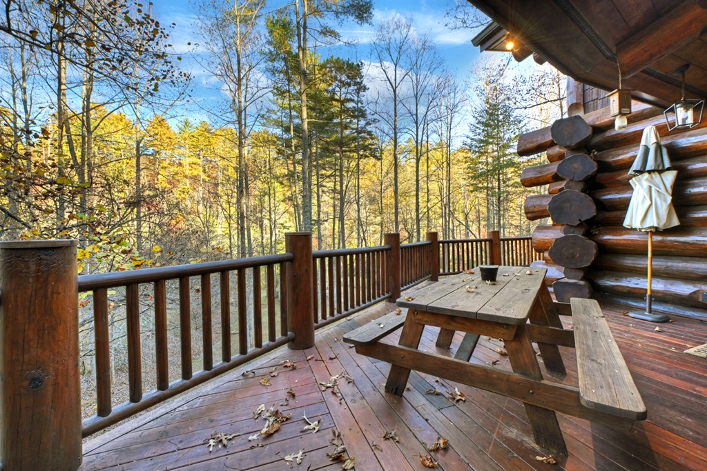 505 River Ridge Road Blue Ridge, GA 30513 - Photo 33 of 66