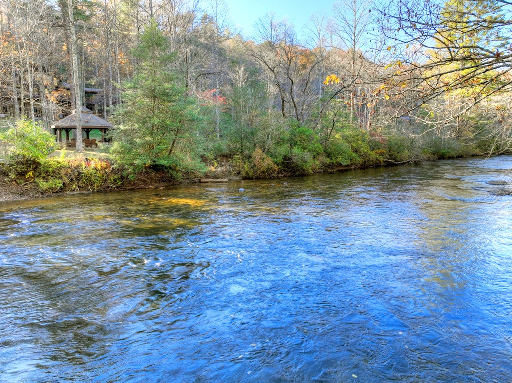 505 River Ridge Road Blue Ridge, GA 30513 - Photo 4 of 66