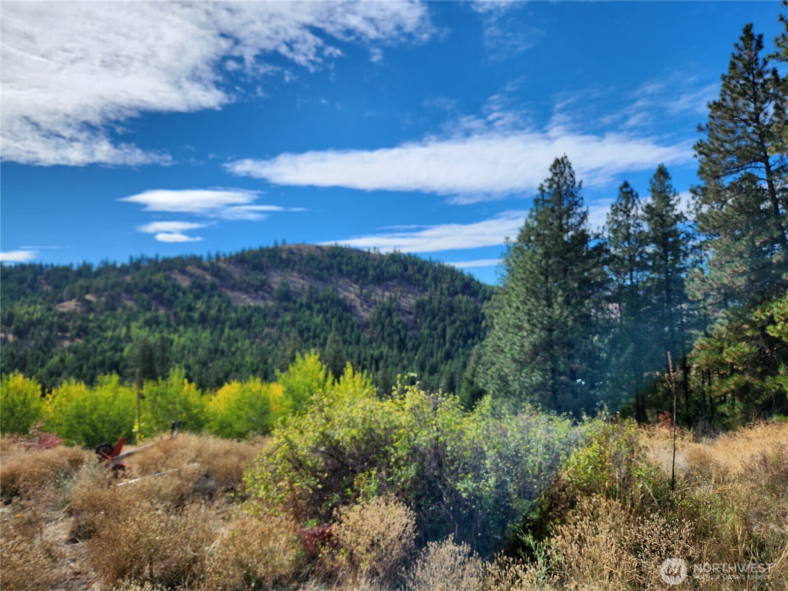 a view of a lake with a city
