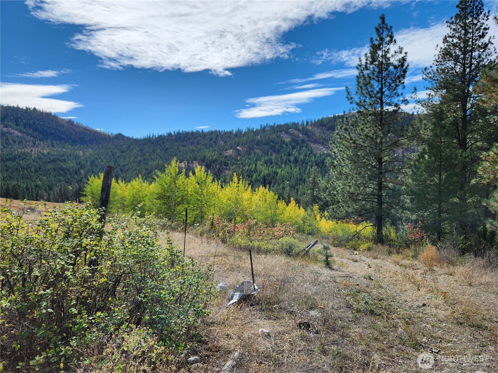 18 Robin Road Republic, WA 99166 - Photo 3 of 8 a view of lake with mountain in the background