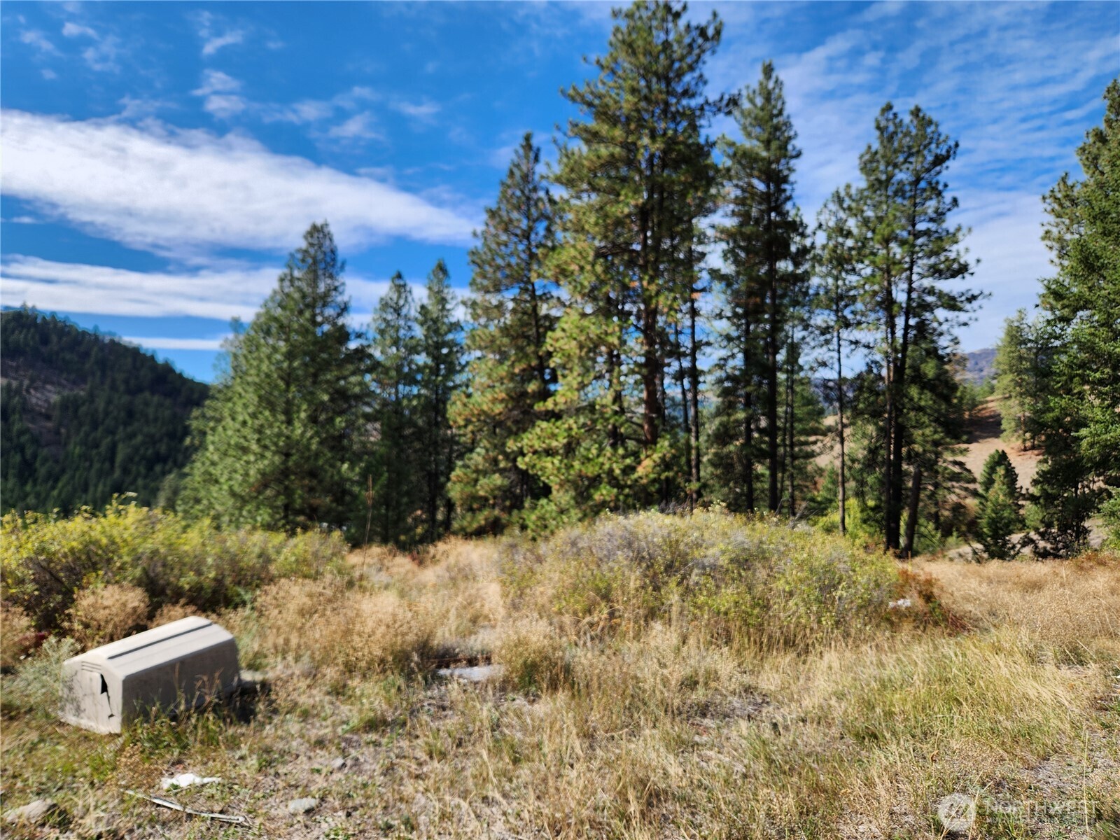 18 Robin Road Republic, WA 99166 - Photo 4 of 8 a view of outdoor space and yard