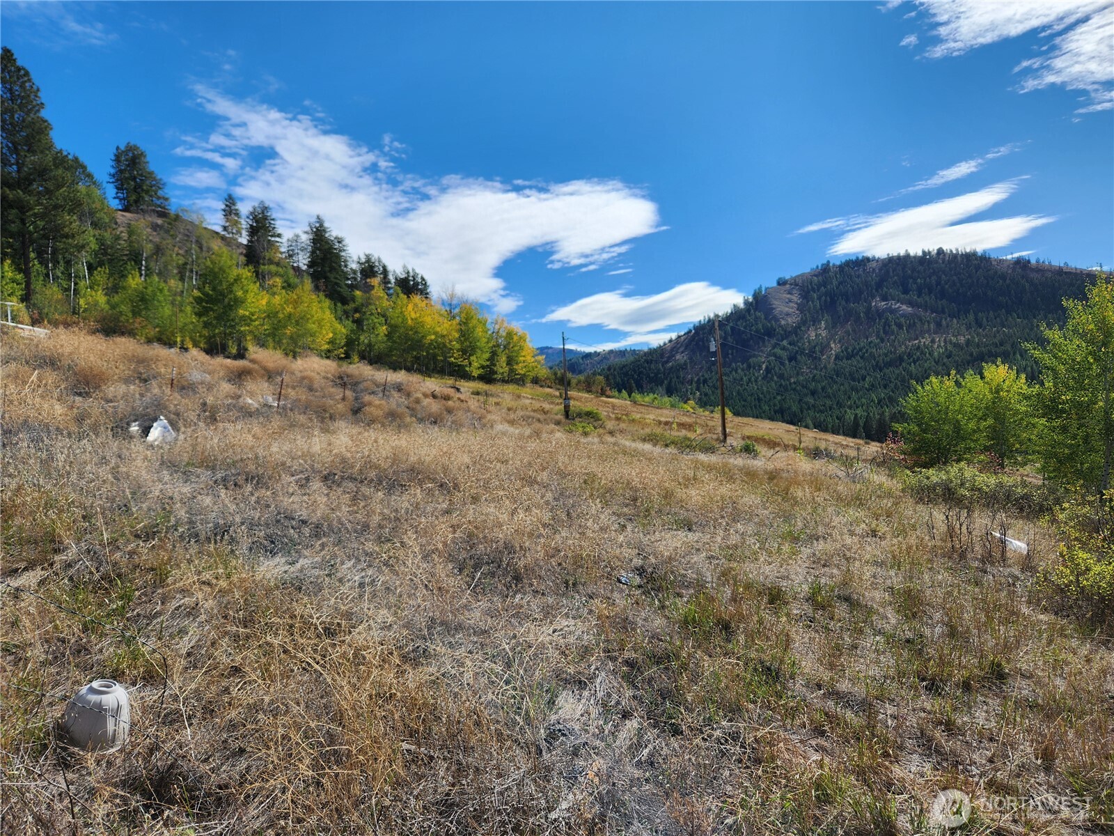 18 Robin Road Republic, WA 99166 - Photo 8 of 8 a view of an outdoor space and a yard