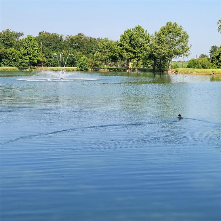 2901 Country Pl Circle Carrollton, TX 75006 - Photo 31 of 37 a view of a lake view