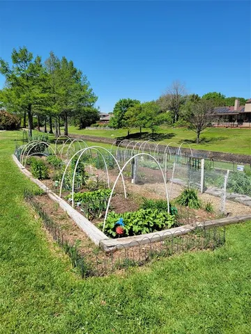 a view of a garden with a fountain