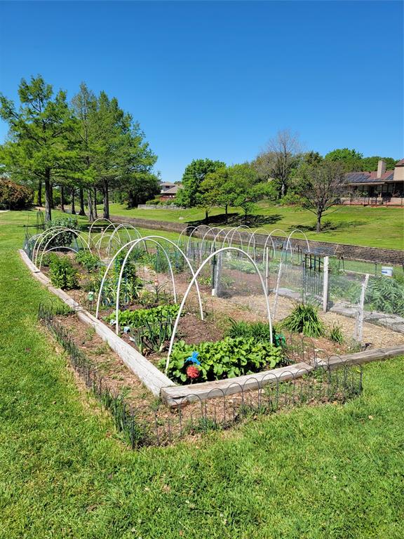 2901 Country Pl Circle Carrollton, TX 75006 - Photo 37 of 37 a view of a garden with a fountain