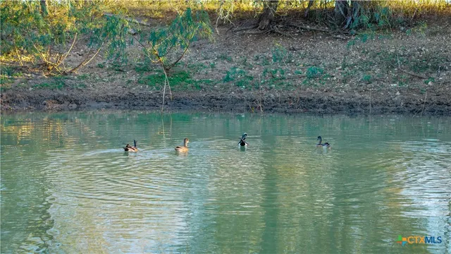 a view of a lake with houses