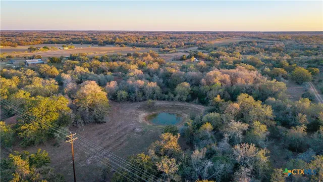 a big yard with trees