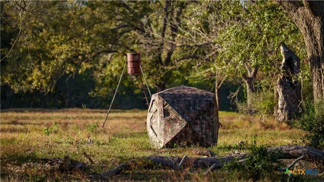 a view of park space